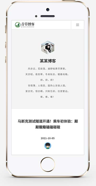 超級簡潔一款博客文章自媒體網站源碼+手機自適應