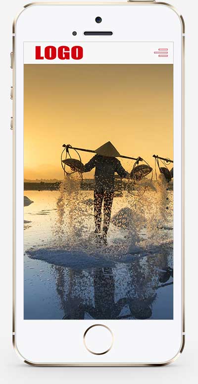 (自適應手機端)水果食品農產品網站模板 - 帶視頻