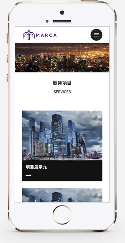 (自適應手機端)商務服務類網站模板 商業管理網站源碼下載