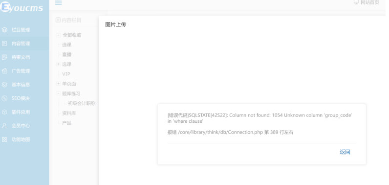易優上傳文件出現報錯/core/library/think/db/Connection.php第389行左右